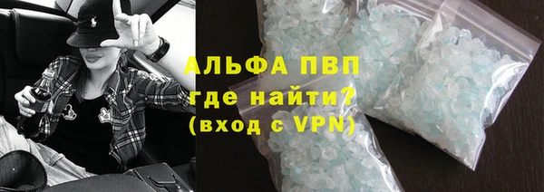 сатива Гусь-Хрустальный