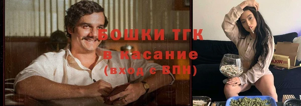 кристаллы Гусев