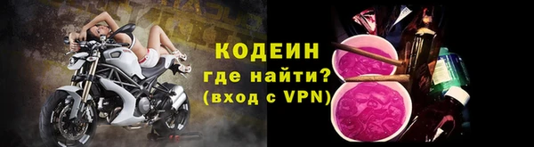сатива Гусь-Хрустальный
