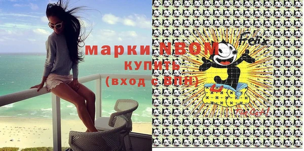 сатива Гусь-Хрустальный