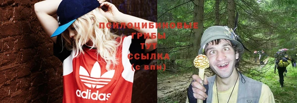 марки nbome Гусиноозёрск
