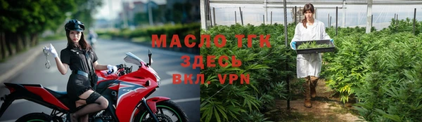 сатива Гусь-Хрустальный