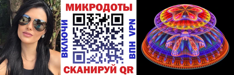 Псилоцибиновые грибы GOLDEN TEACHER  Купить закладки  Сланцы 